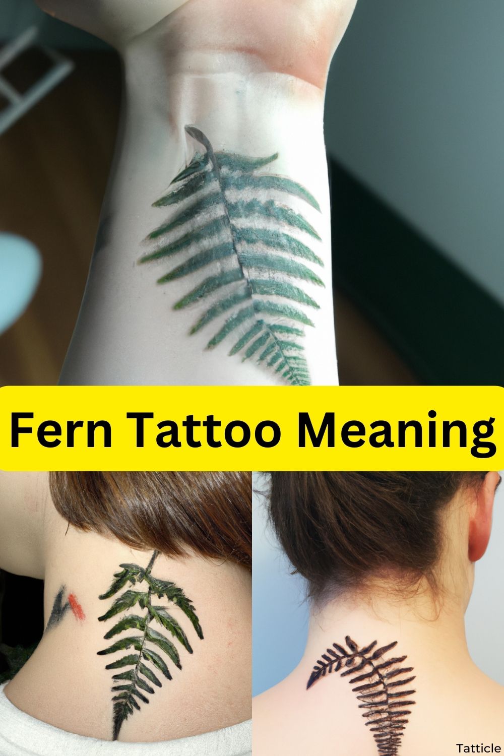 Fern Tattoo Meaning What Does It Symbolize? Tatticle