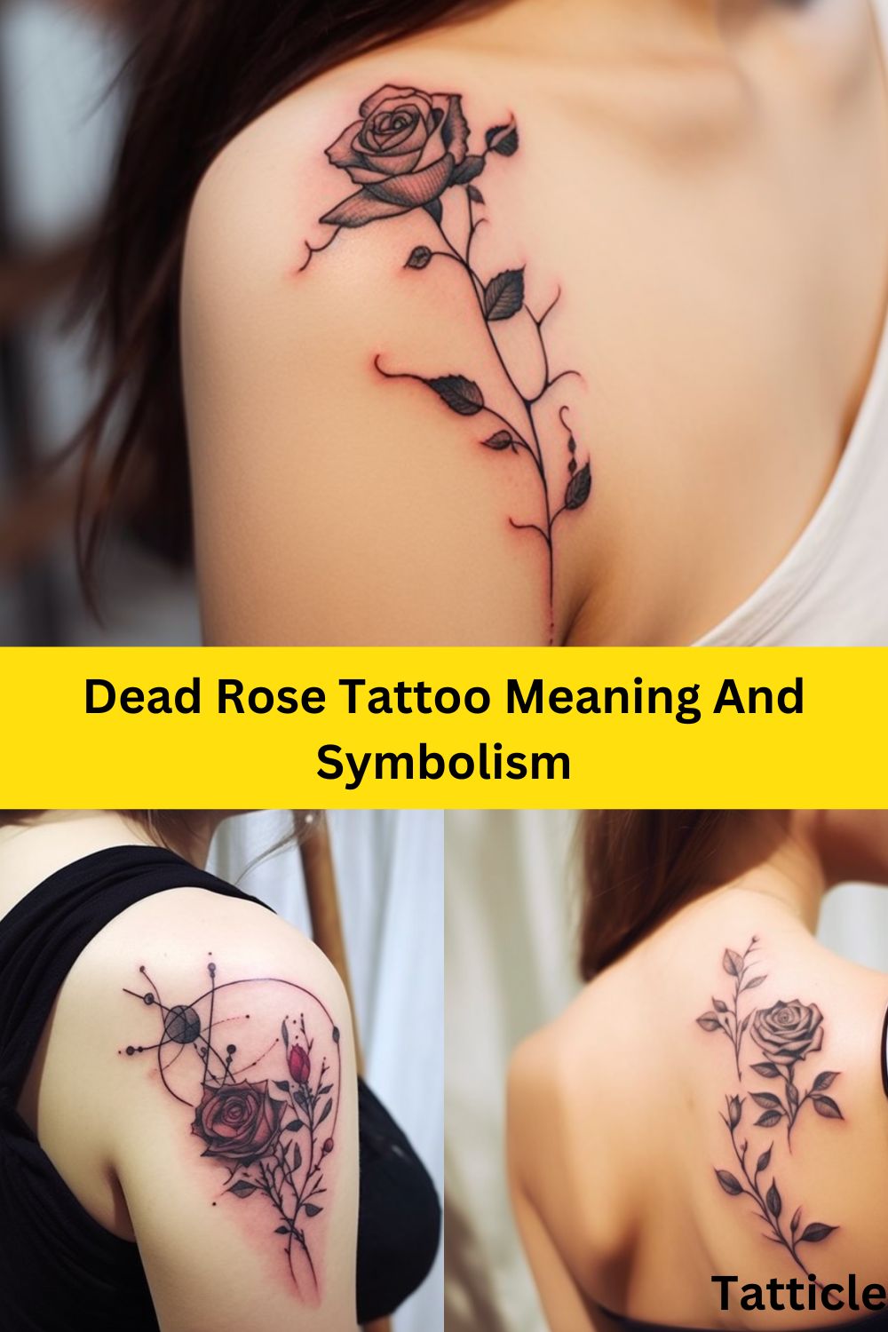 Dead Rose Tattoo Meaning And Symbolism Tatticle