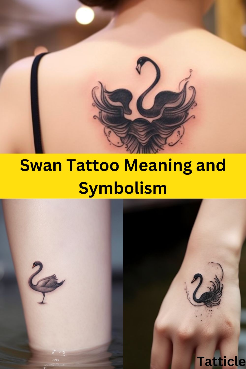 Swan Tattoo Meaning and Symbolism Tatticle