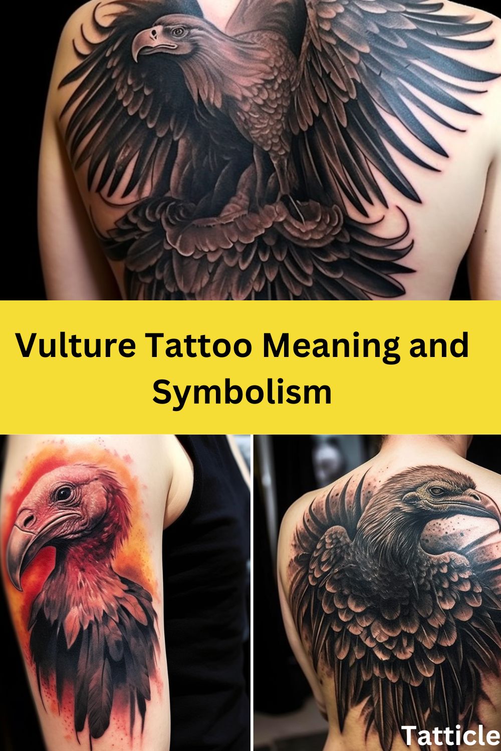 Vulture Tattoo Meaning and Symbolism Tatticle