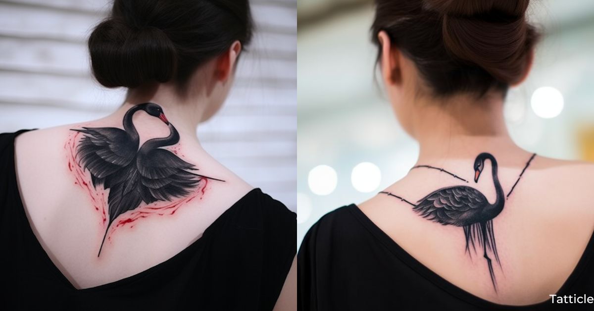 Black Swan Tattoo Meaning and Symbolism - Tatticle