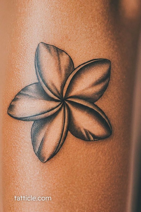Plumeria Tattoo Meaning: Stunning Ideas You Need to See Now - Tatticle