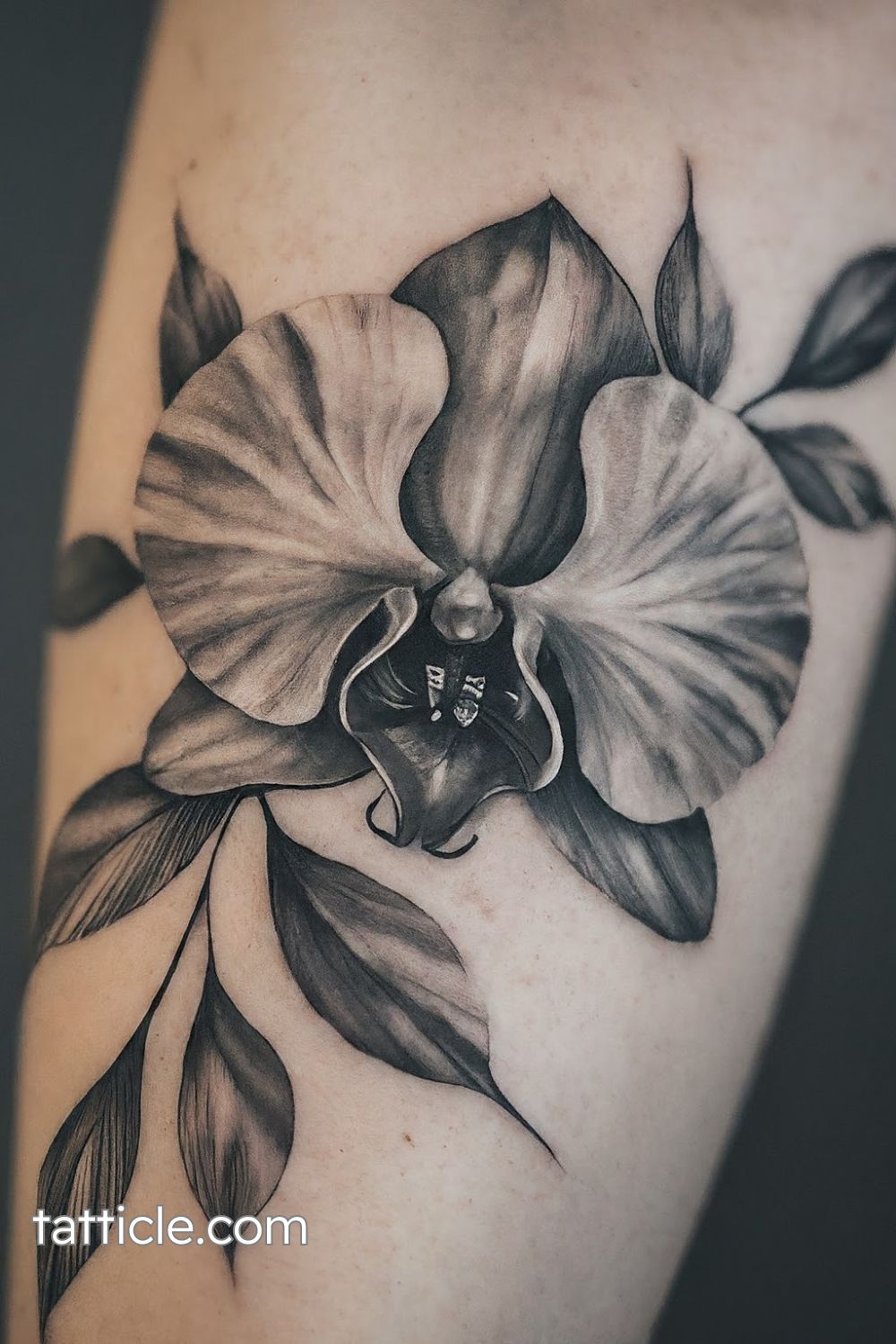Orchid Tattoo Meaning: Discover Stunning Ideas and Symbolism Behind ...
