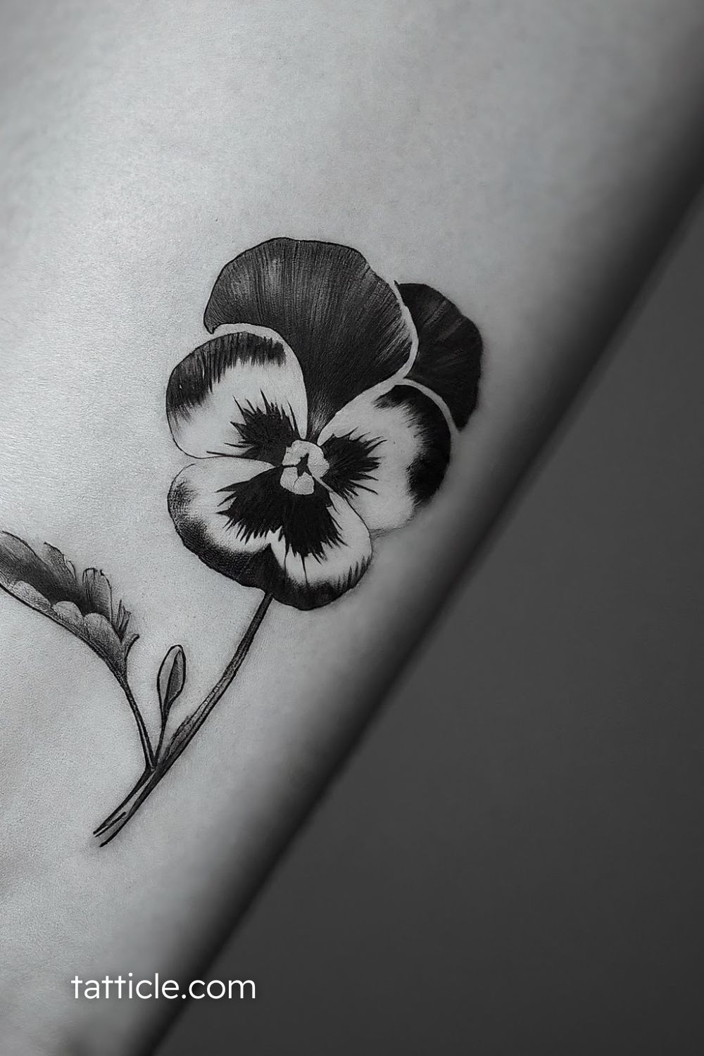 Pansy Tattoo Meaning: Unique Ideas and Inspirations You Need to See ...