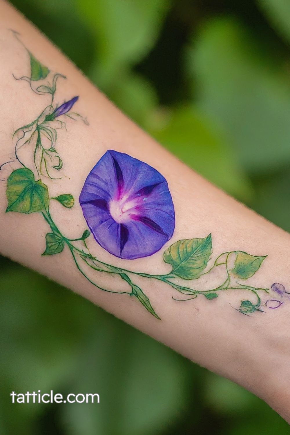 Morning Glory Tattoo Meaning: Discover Stunning Ideas and Hidden ...