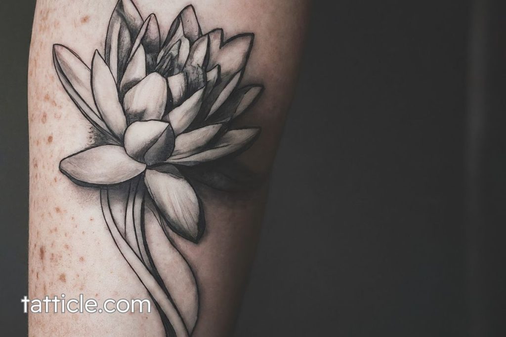 Water Lily Tattoo Meaning: Discover the Deep Symbolism and Stunning Design Ideas