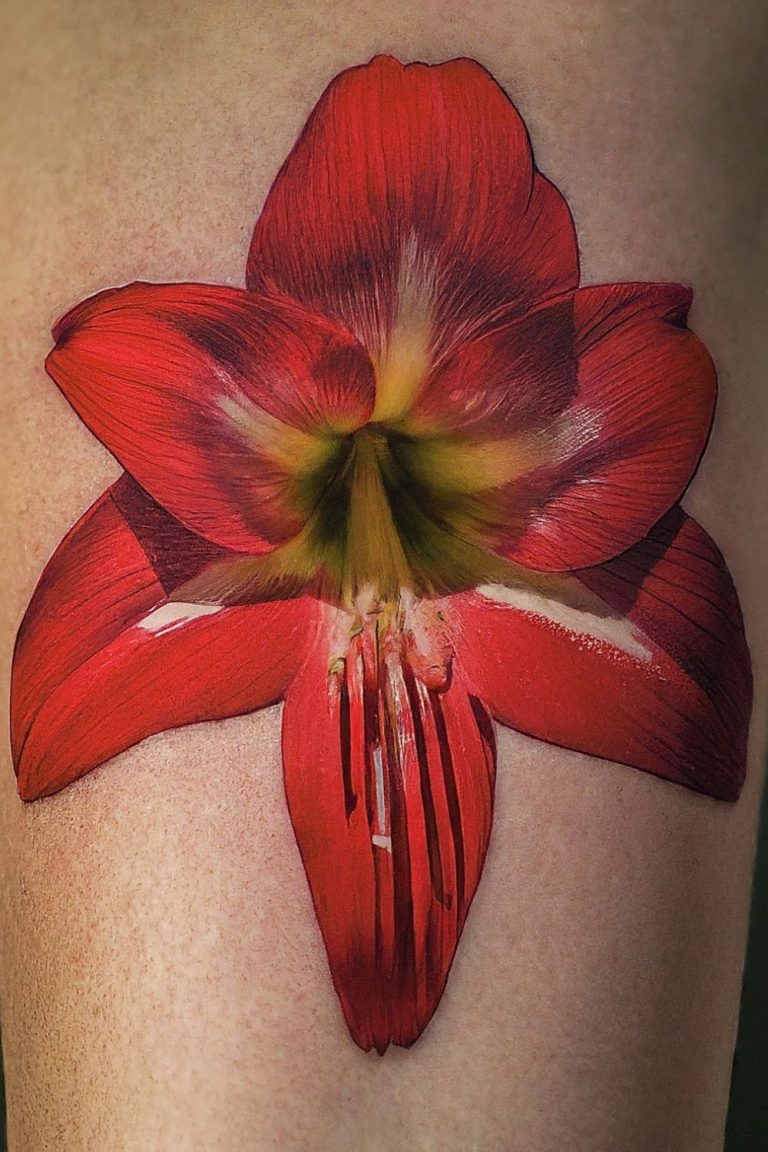 Amaryllis Tattoo Meaning: Discover the Powerful Symbolism Behind This ...