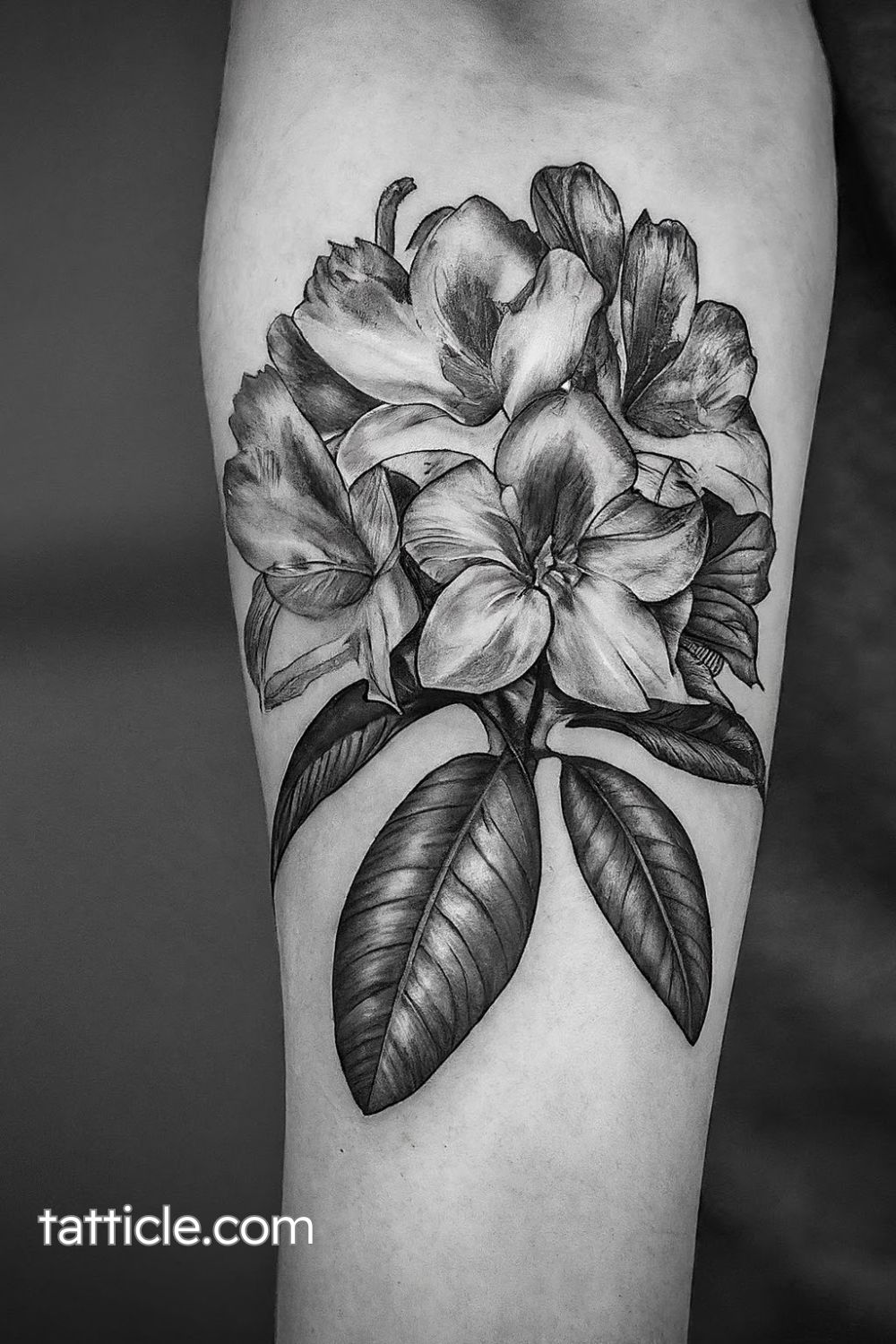 Rhododendron Tattoo Meaning: Uncover the Surprising Symbolism Behind ...