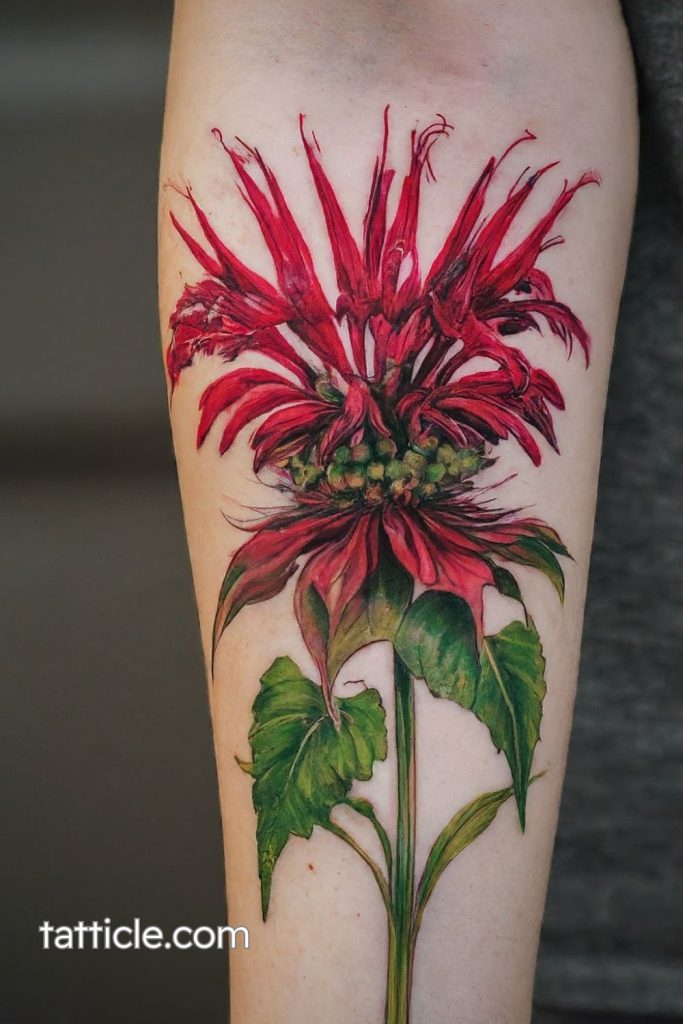 bee balm tattoo 