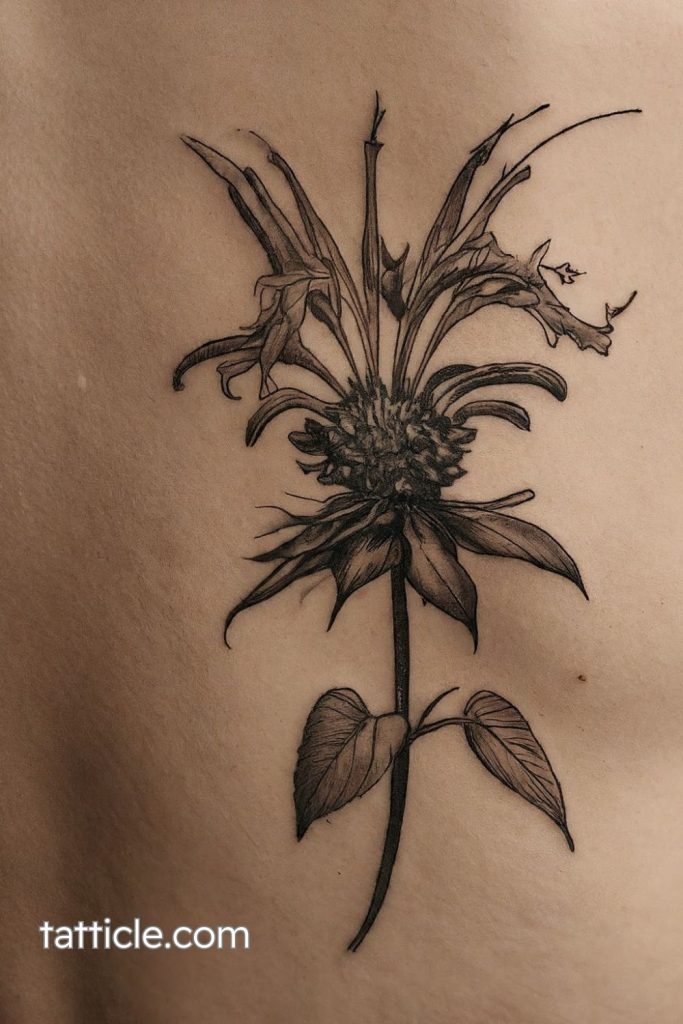 bee balm tattoo meaning symbolism