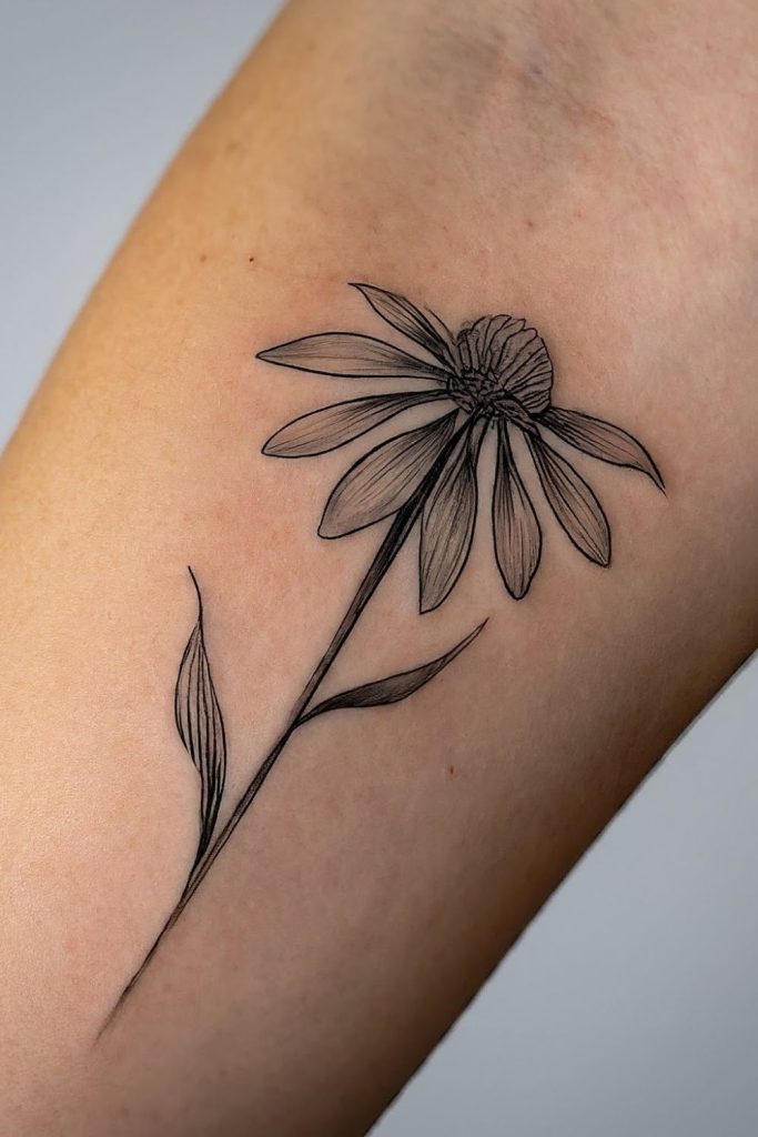 minimalist coneflower tattoo design